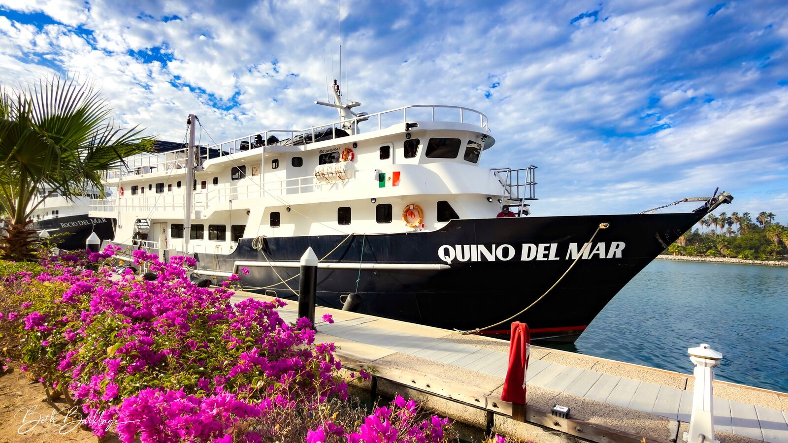 Quino del Mar