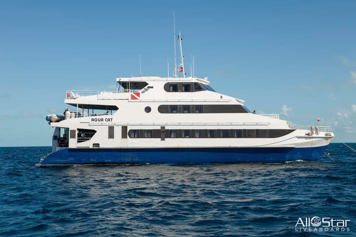 Best Bahamas Liveaboards