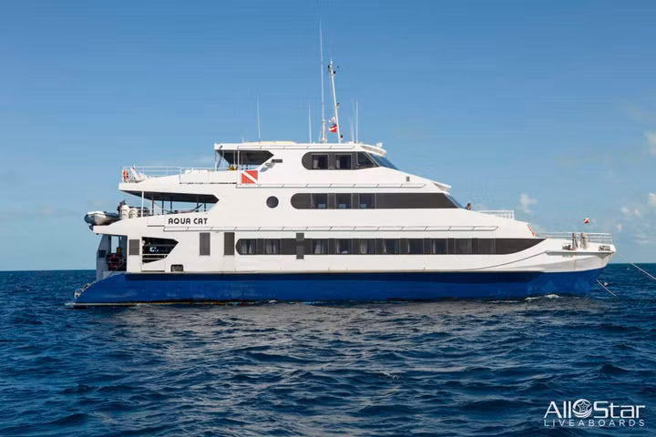 Best Bahamas Liveaboards