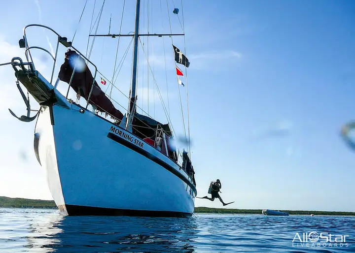 All Star Blackbeards Morning Star – Best Budget Option