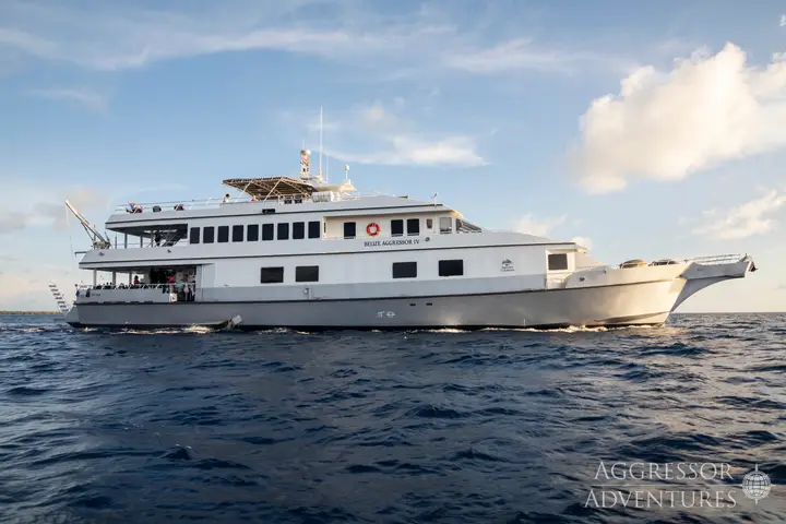 Belize Aggressor IV – Best for Comfort