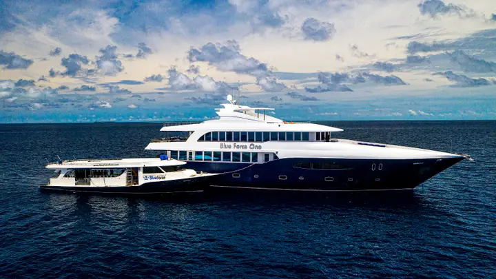 Blue Force One – Best Award-Winning