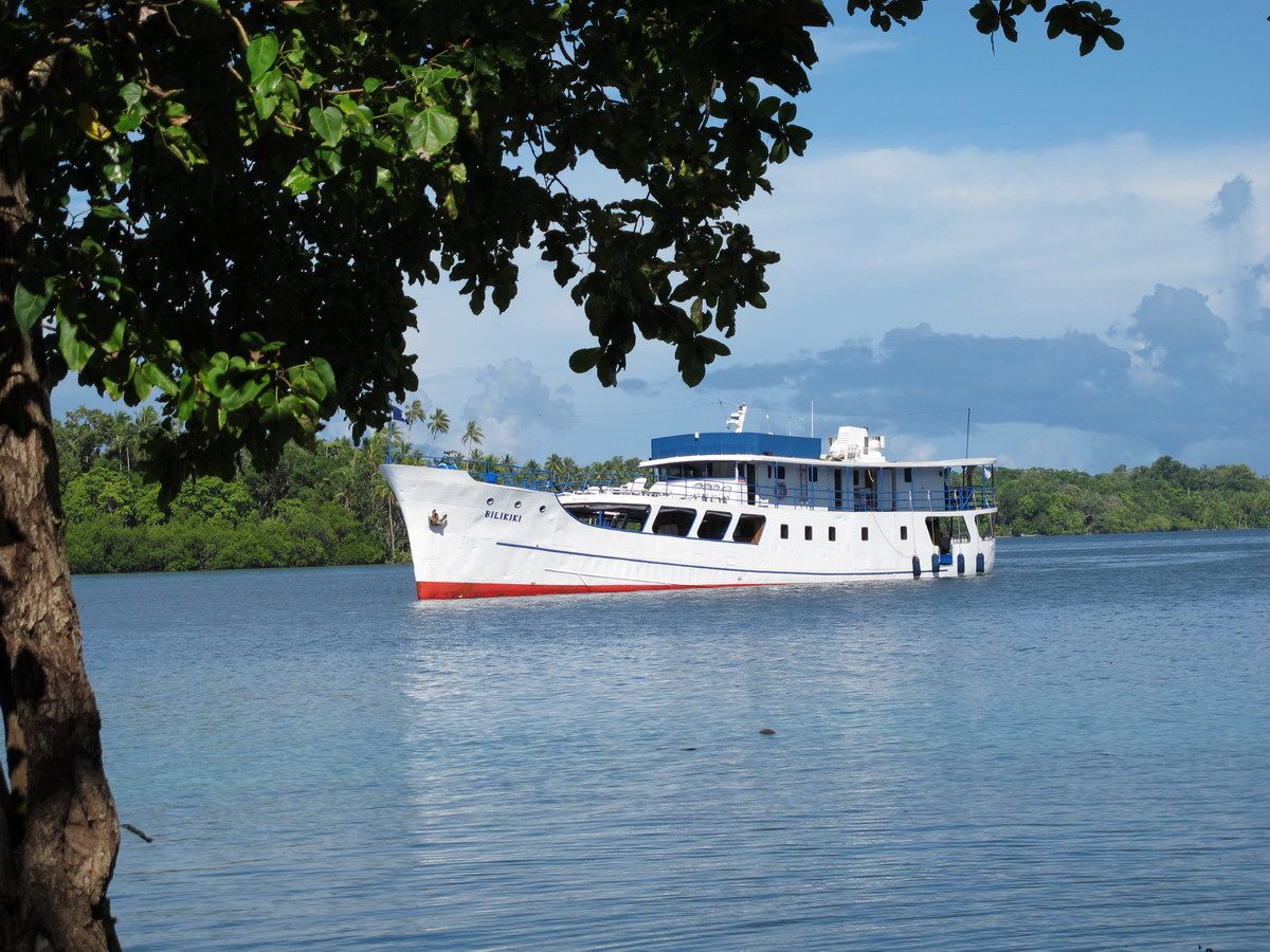 Best Solomon Islands Liveaboards