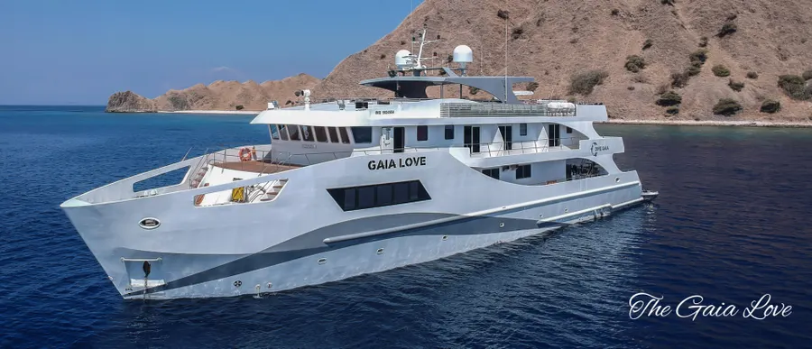 Gaia Love