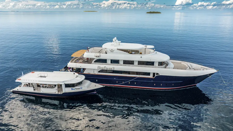Maldives Blue Force 3 liveaboard – 马尔代夫