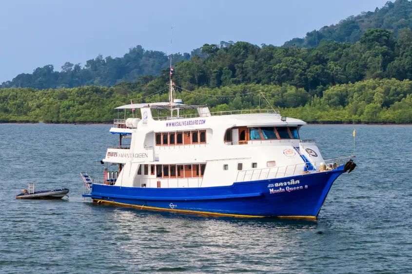 Manta Queen 8