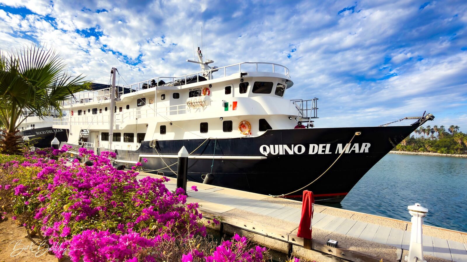 Quino del Mar