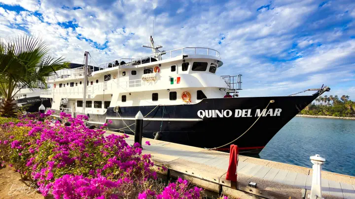 Quino del Mar – Best Value