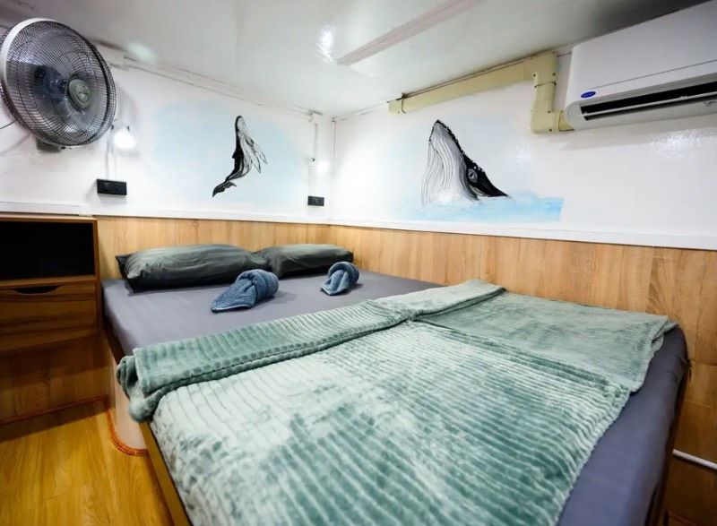 Cabin #4 Beds Left - DOUBLE