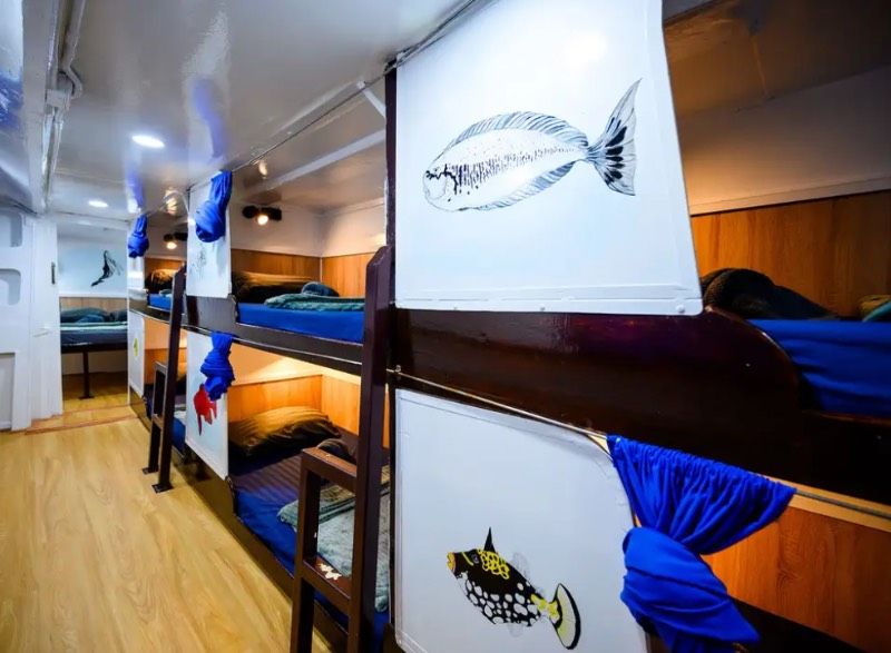 Cabin #5 Beds Left - DORM