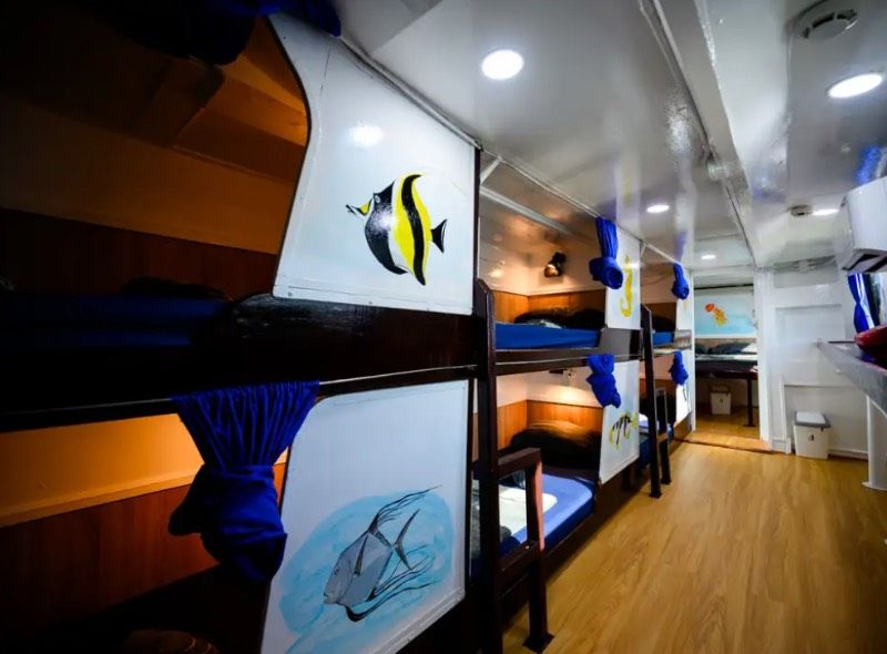 Cabin #6 Beds Right - DORM
