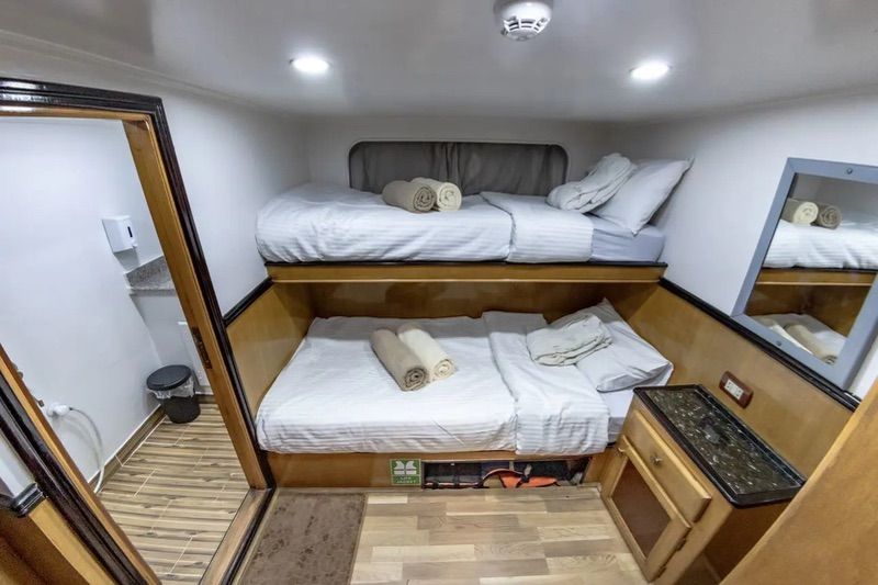Bunk Bed