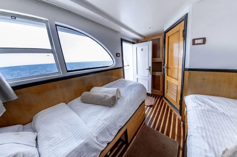 Tween bed (Middle Deck-Seaview)