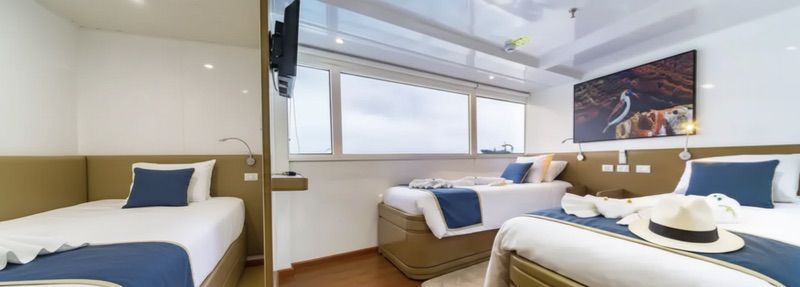 Main Deck Cabins