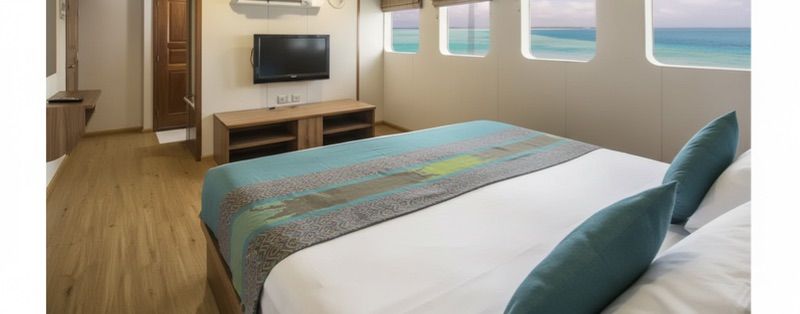 Suite - Upper Deck