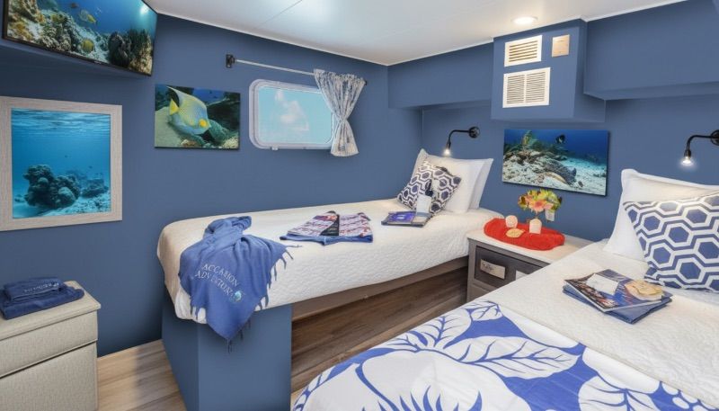 Master Stateroom