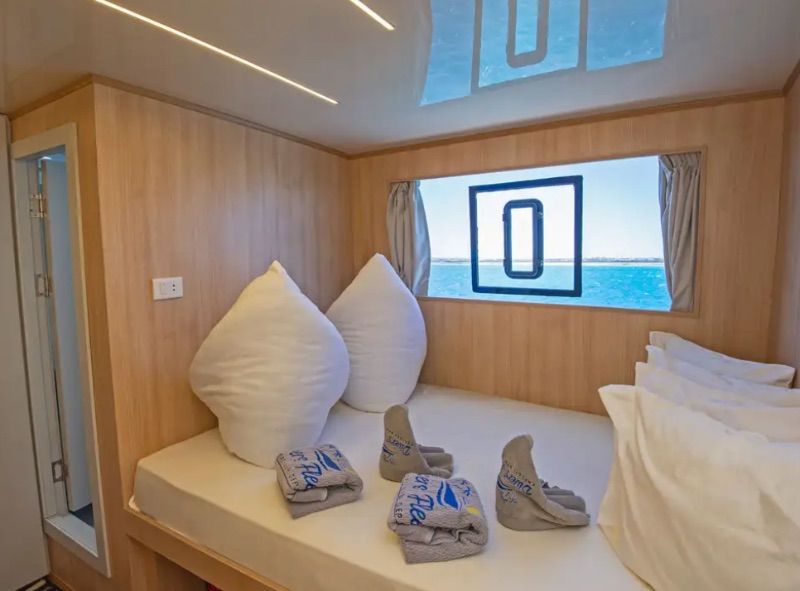 Upper Deck Double Cabin 11-12