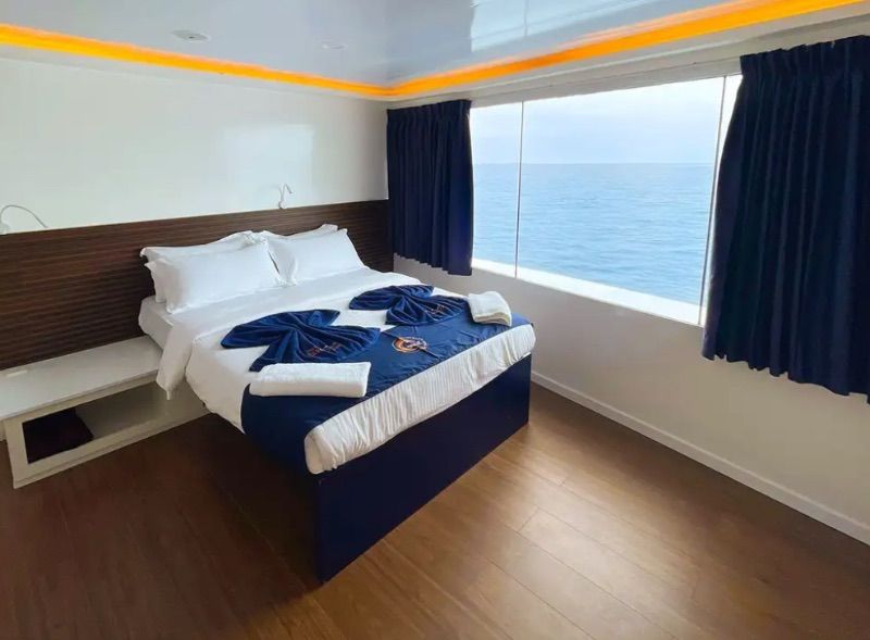 Premium Cabin (# 9,10)