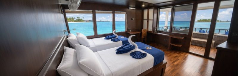 Premium Cabin