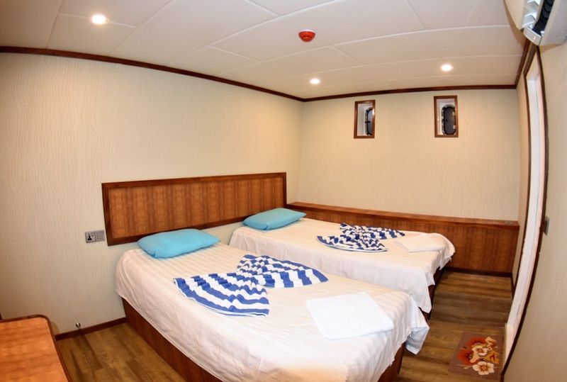 cabins with twin beds (Lower deck)