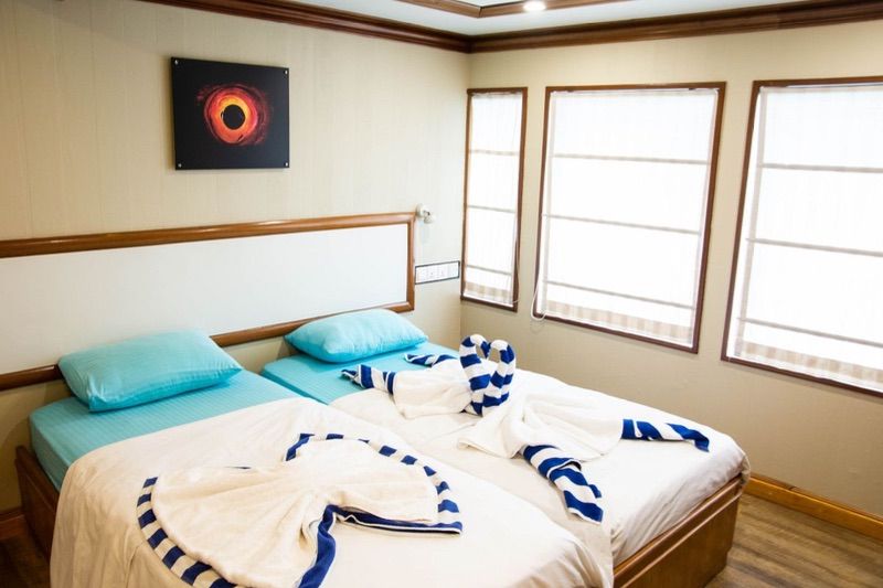 cabins with twin beds that can be adapted to doubles