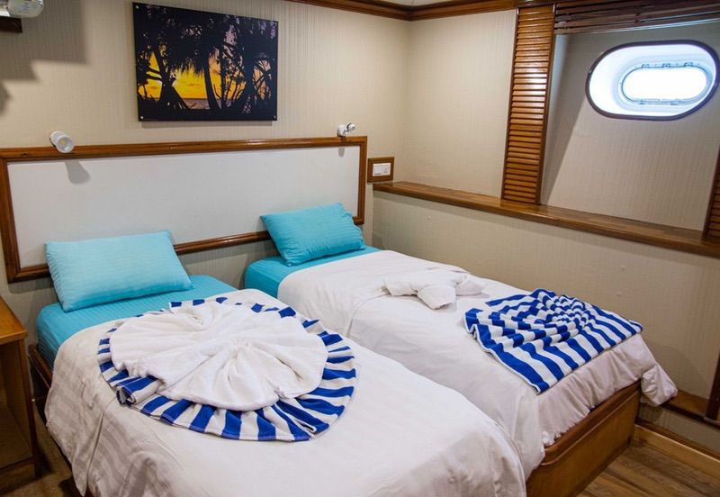 cabins with twin beds that can be adapted to doubles