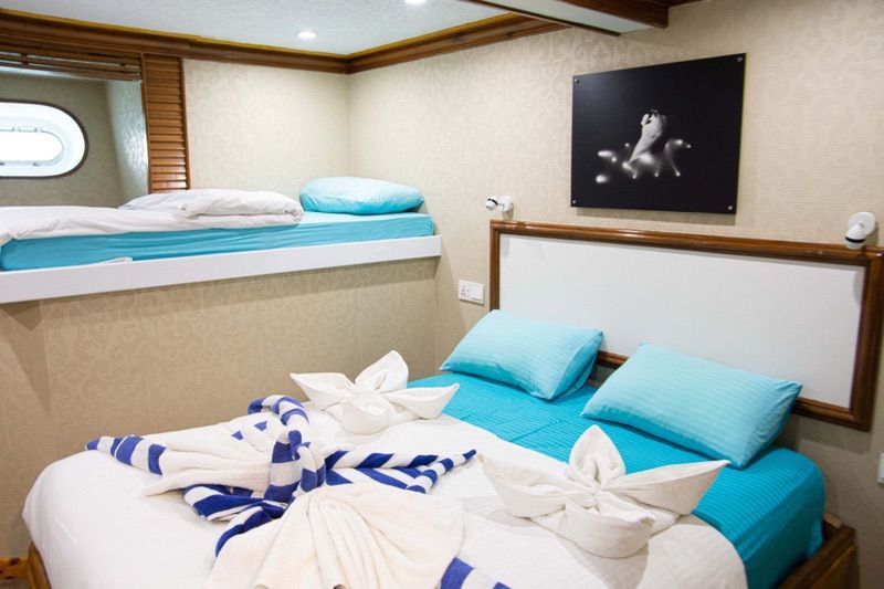 family cabin with a double and single bed