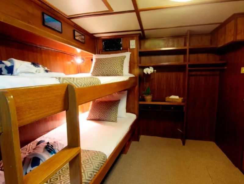 Budget Cabin