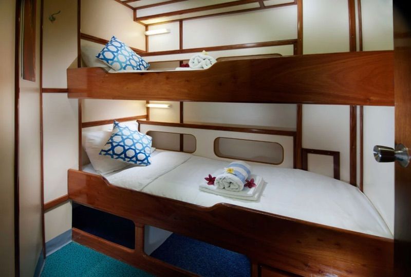 Classic Twin Cabin