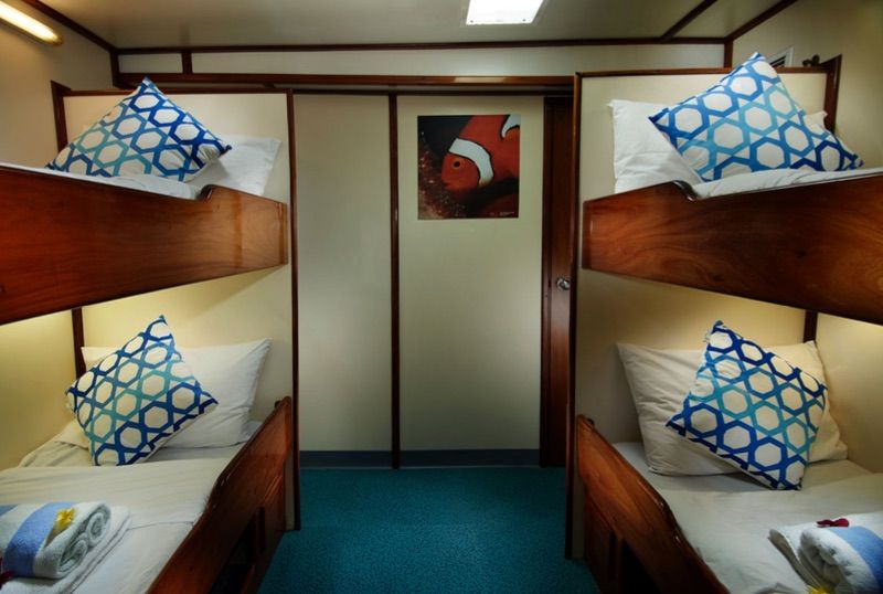 Standard Twin Cabin