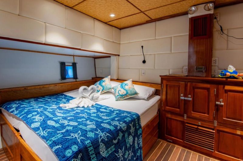 Premium Twin Cabin