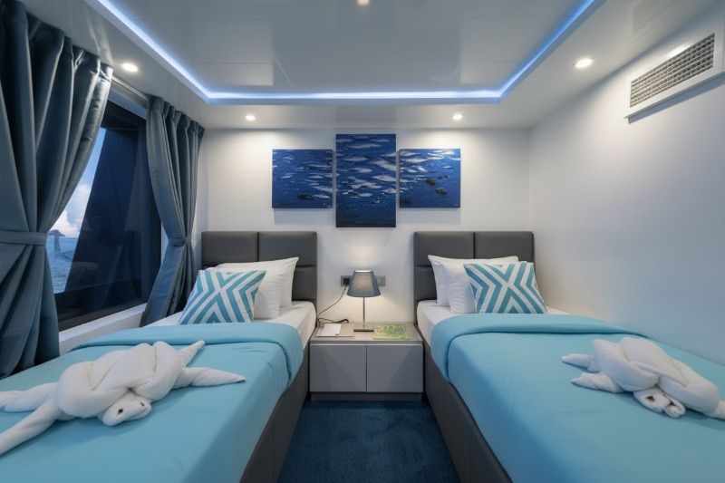 Deluxe Main Deck