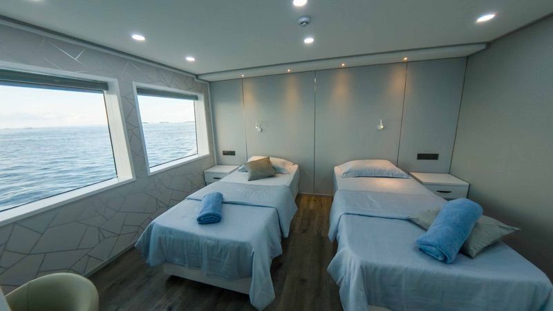 Deluxe II Cabins