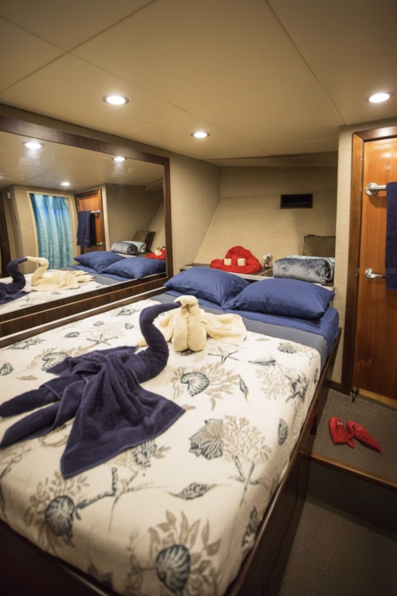 Master Stateroom