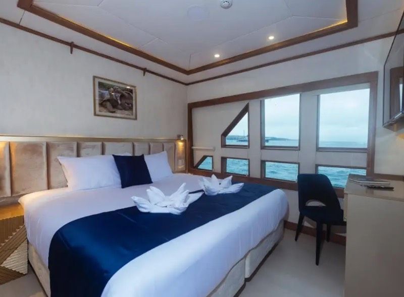 Main Deck Stateroom