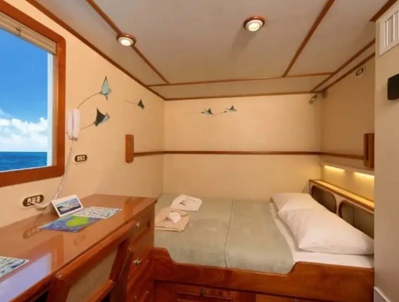 Upper Deck Suites