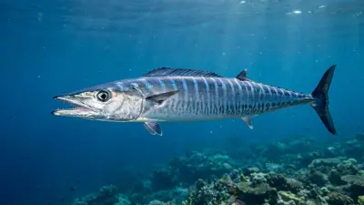Wahoo at the dive site Blue Corner