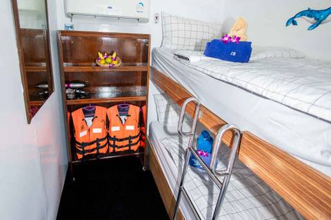 Standard Bunk