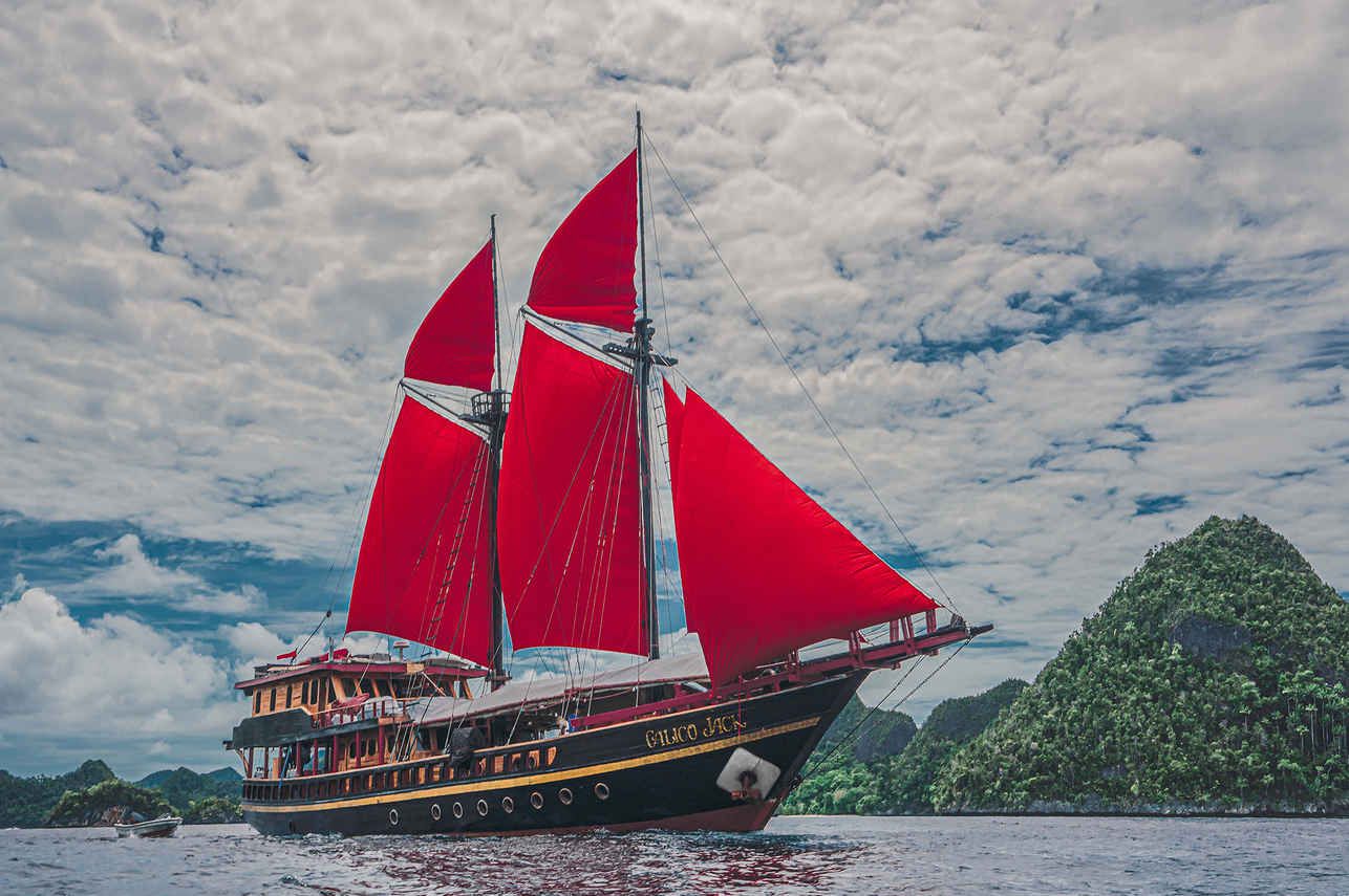 Calico Jack