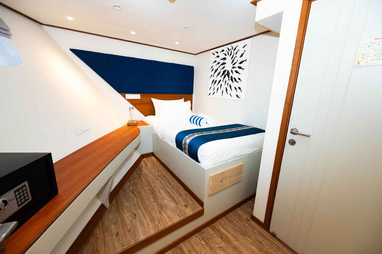 Lower Deck Single