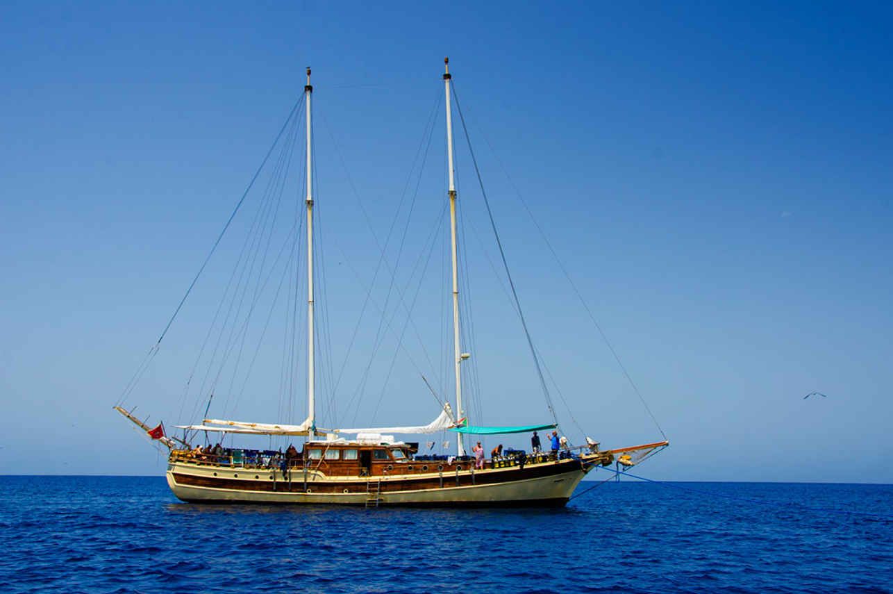 Best Djibouti Liveaboards