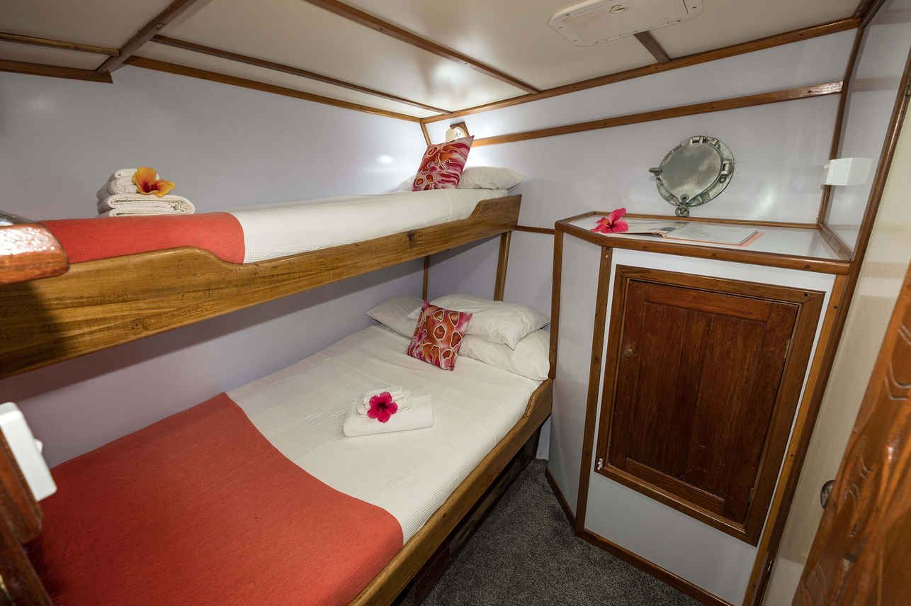 Large Single Cabin 6