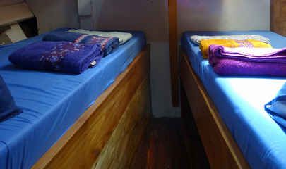 Twin - bunk beds
