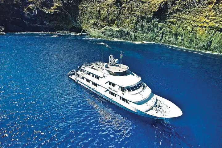 Nautilus Belle Amie – Best for Socorro