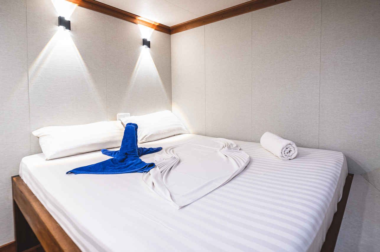 Double Cabin - Lower Deck