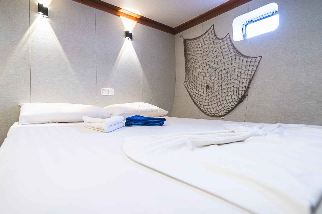 Superior Double / Twin Cabin - Lower Deck