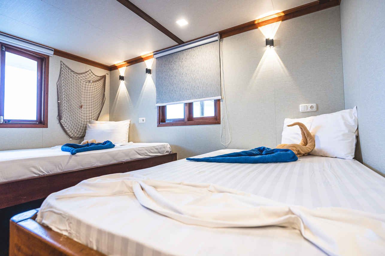 Superior Double / Twin Cabin - Main Deck