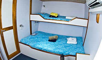 Deluxe Cabins