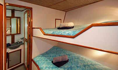 Standard Cabins