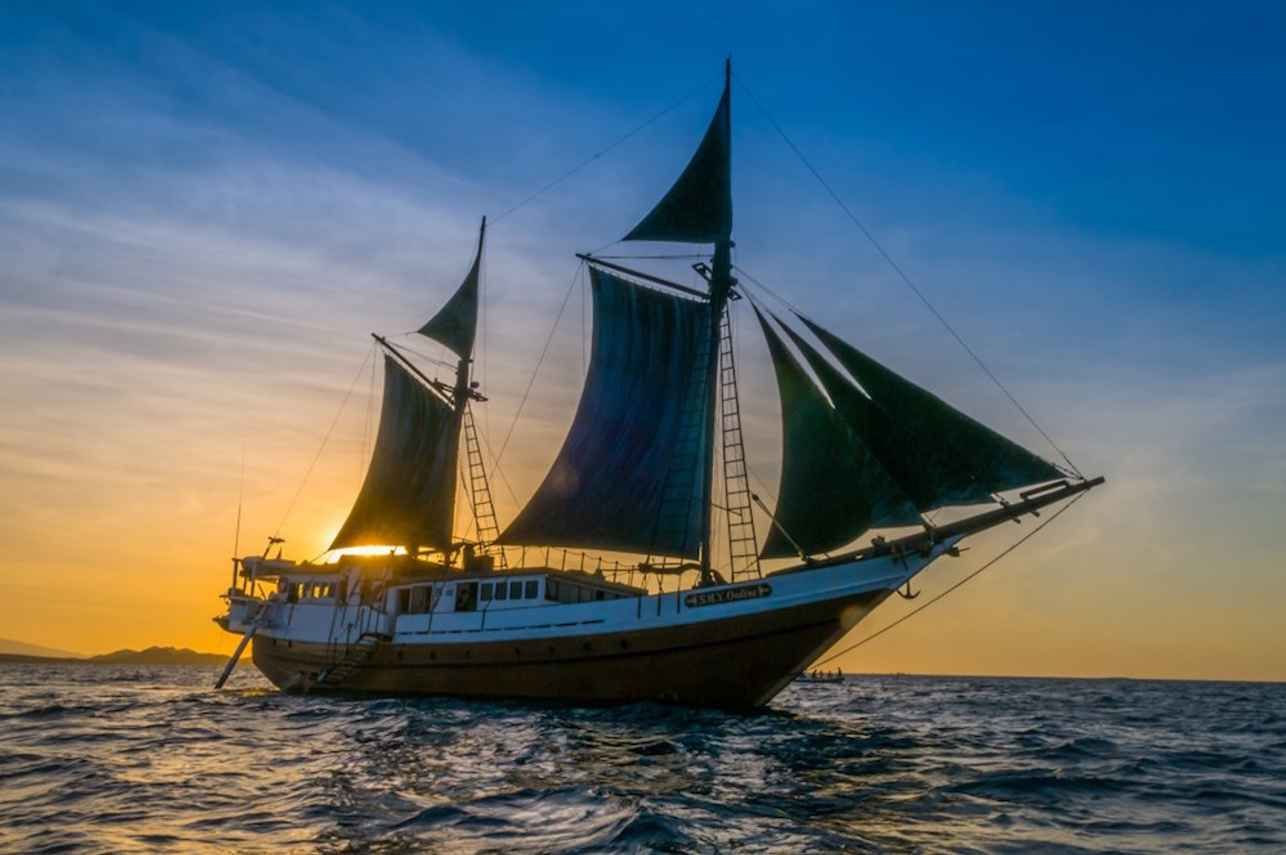 Ondina liveaboard – Indonesia